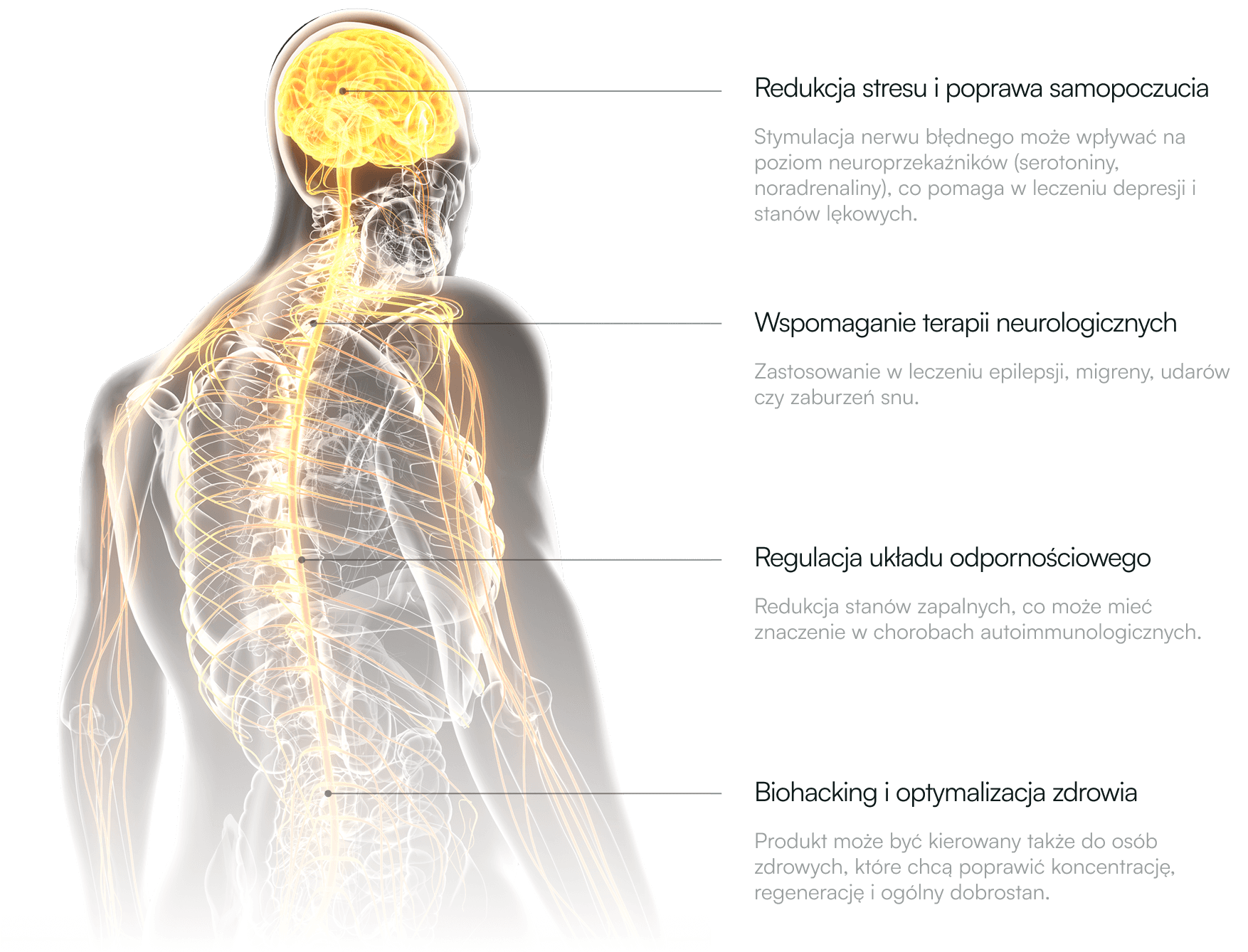 tVNS w terapii neurologopedycznej — jak stymulacja nerwu błędnego wspiera rehabilitację mowy?
