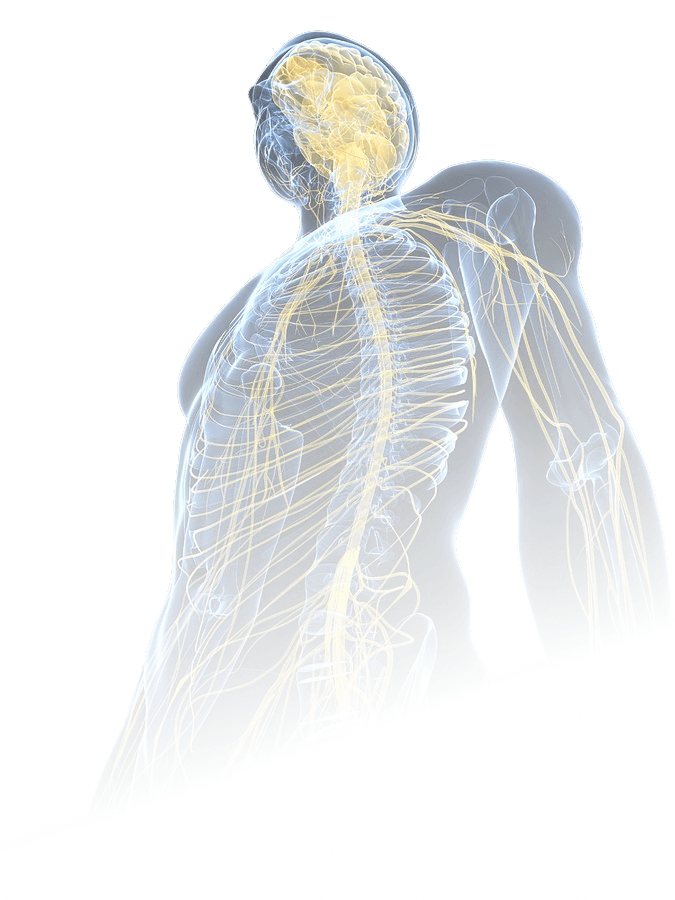 Przyszłość dobrostanu zaczyna się tutaj